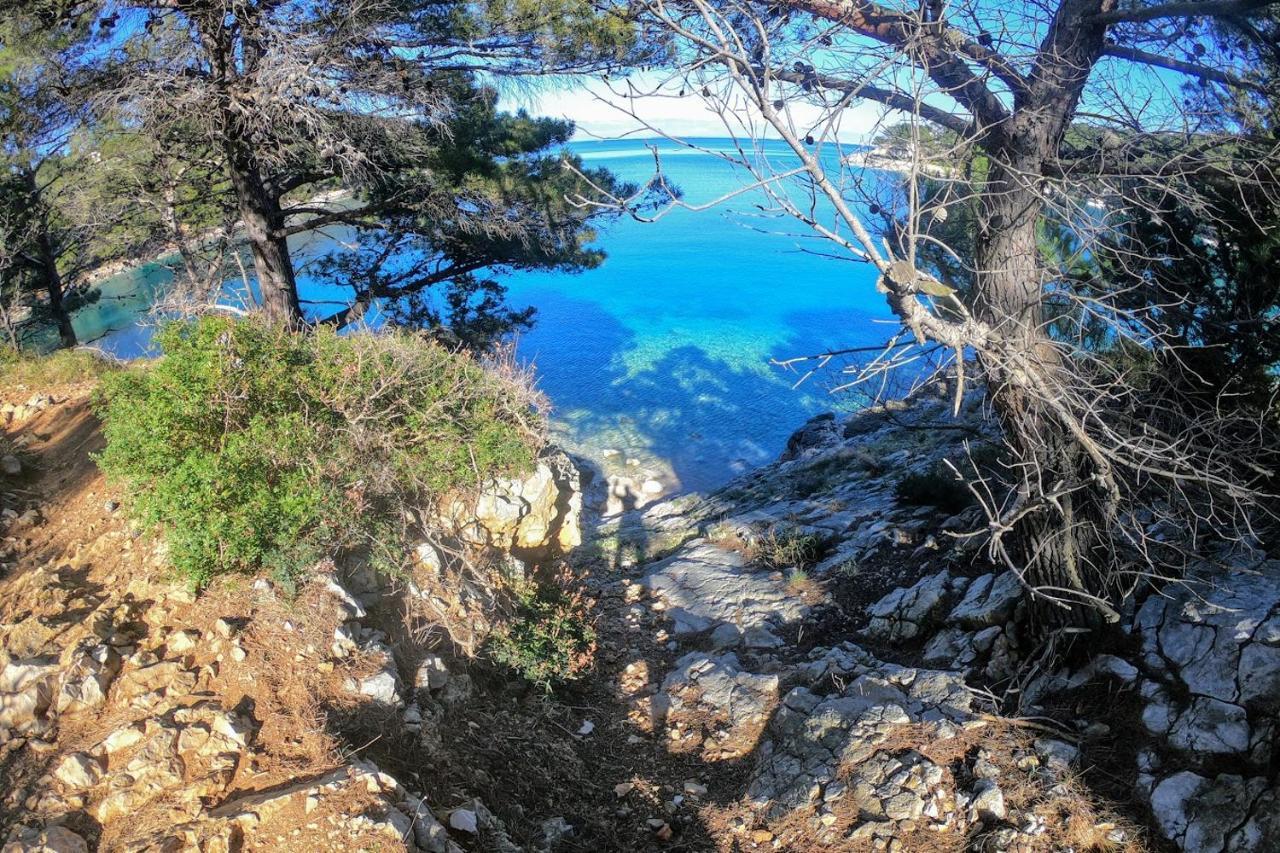 Amaryllis Residence, Apartment Diana & Deluxe Rooms With Shared Kitchen Veli Lošinj Buitenkant foto